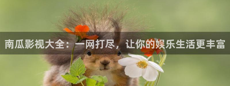 99视频999精品视频：南瓜影视大全：一网打尽，让你的娱乐生活更丰富