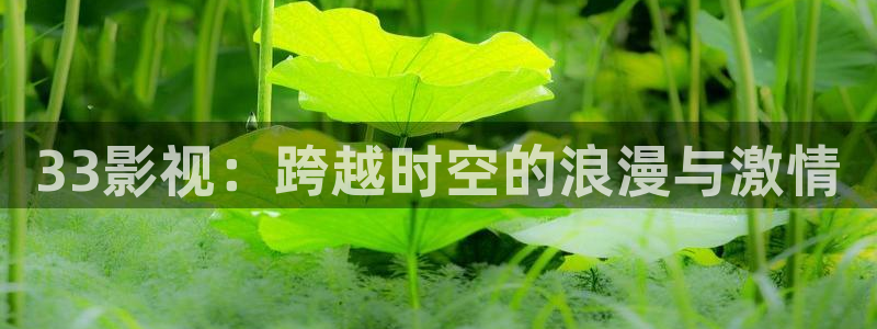 99视频69精品视频：33影视：跨越时空的浪漫与激情