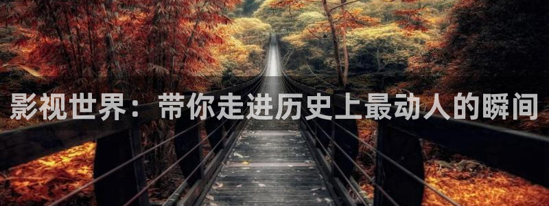99视频全部免费：影视世界：带你走进历史上最动人的瞬间