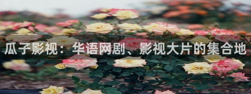 www.99视频：瓜子影视：华语网剧、影视大片的集合地