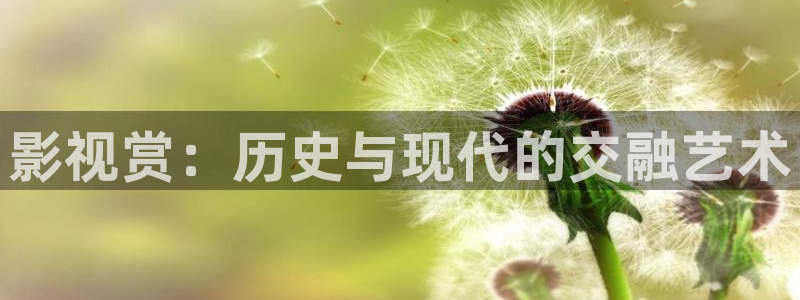 99视频网站在线：影视赏：历史与现代的交融艺术
