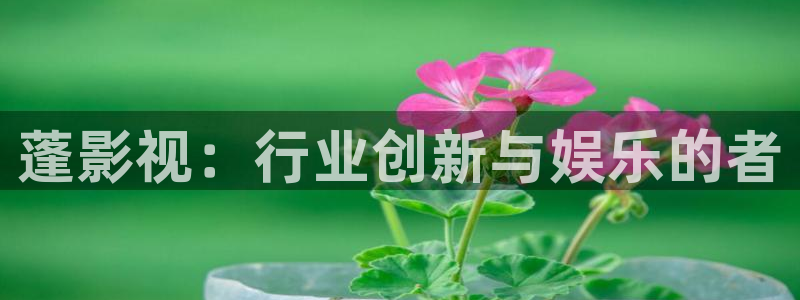 嘿咻99视频：蓬影视：行业创新与娱乐的者
