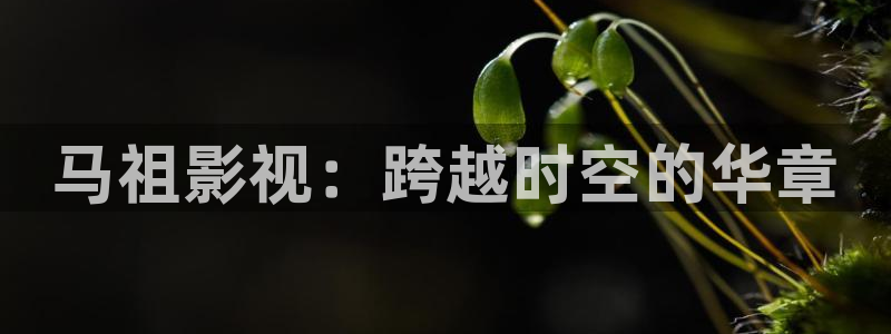 蜜桃99视频一区二区三区：马祖影视：跨越时空的华章