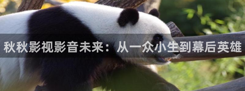99视频偷拍：秋秋影视影音未来：从一众小生到幕后英雄