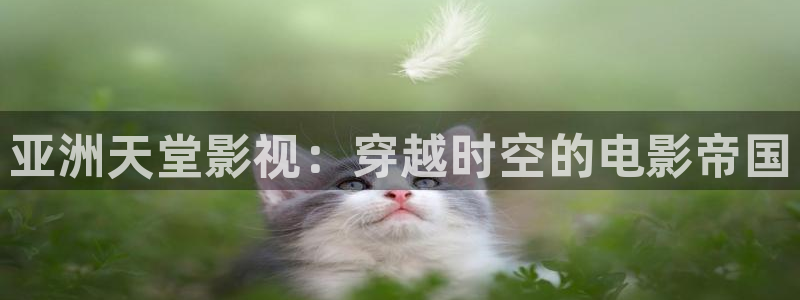 99视频精品免费在线观看：亚洲天堂影视：穿越时空的电影帝国