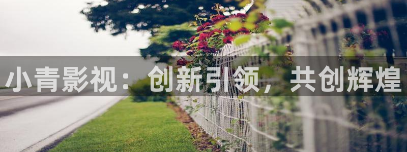 99视频一区二区：小青影视：创新引领，共创辉煌