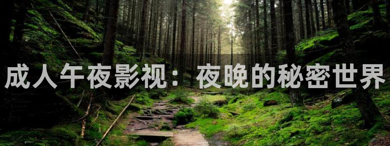 99视频10精品视频在线：成人午夜影视：夜晚的秘密世界